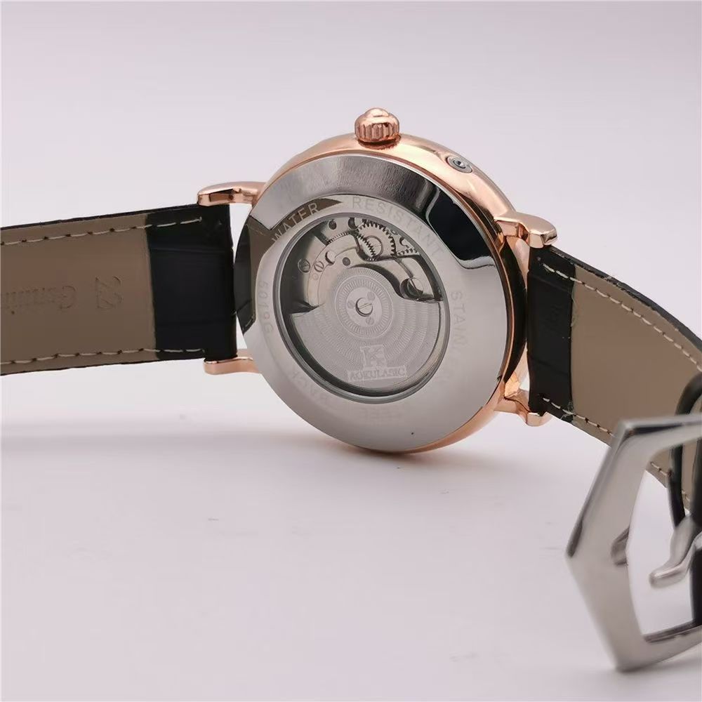 Light Luxury Men's Mechanical  - Luxury Watch Name Brands recension och pris